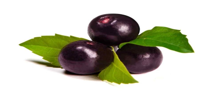 Health Facts: Is Organic Acai Berry Good for You?
