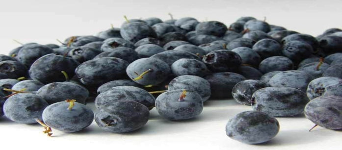Top 5 Notable Health Benefits of Taking Organic Acai Berry