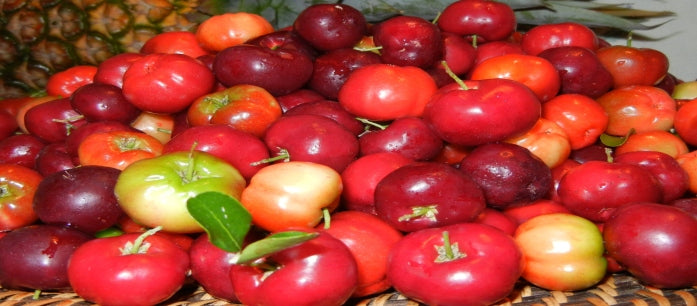 Why Acerola Is a Nice Alternative for Synthetic Beauty Products